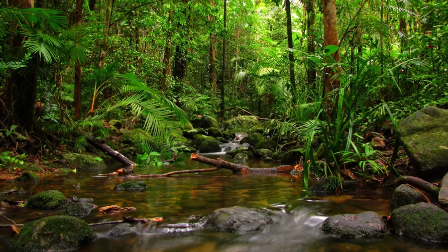 FLONA do Tapajós, 2 dias