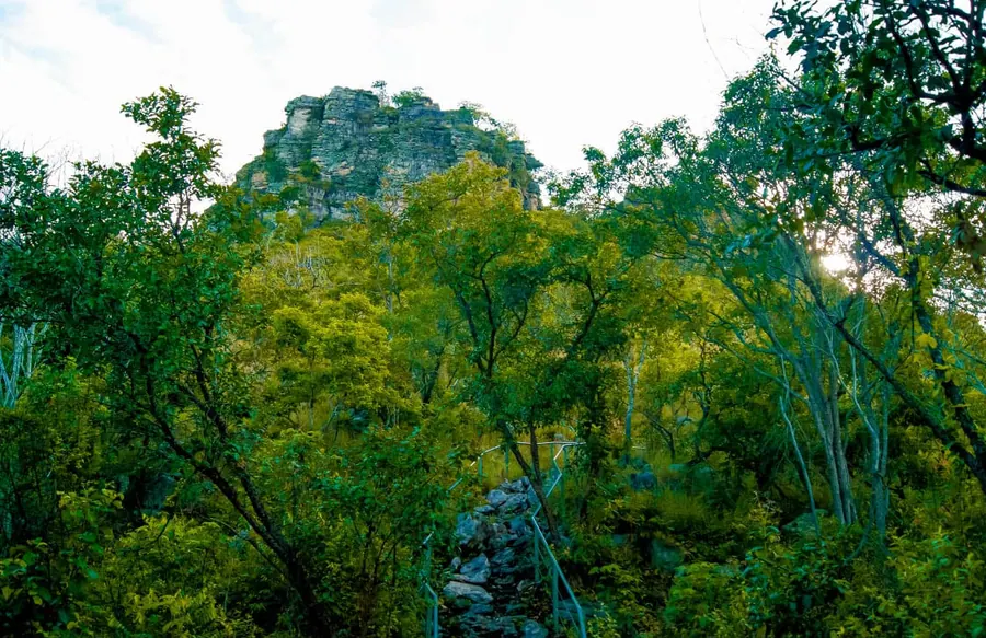Monte Alegre e as pinturas rupestres