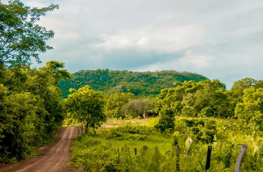 Monte Alegre e as pinturas rupestres